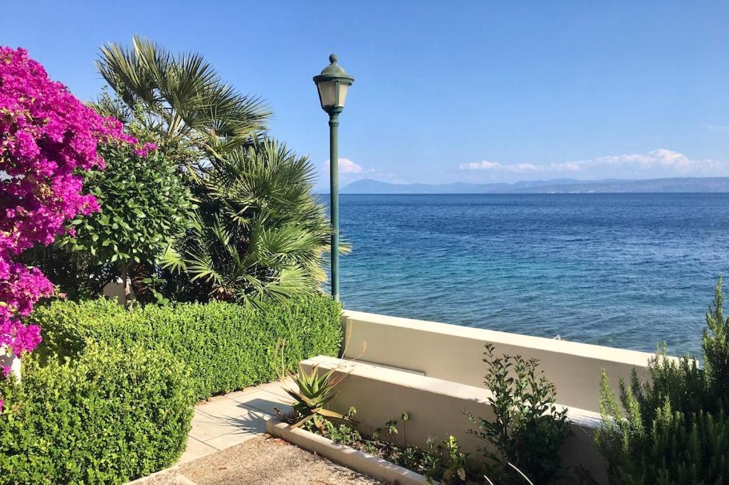 Eviaxl Studios Χρόνια Εξωτερικό φωτογραφία